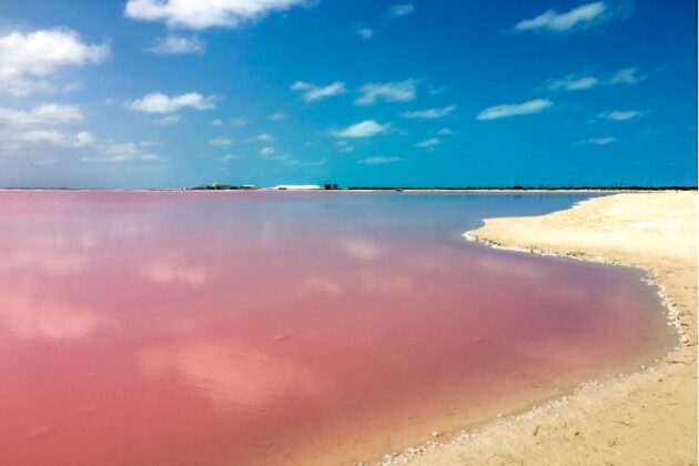 Las Coloradas, un destino sin igual en Yucatán