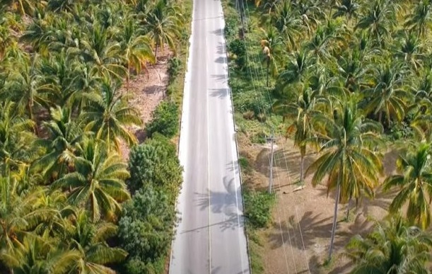 Viaje a San Crisanto en Yucatán